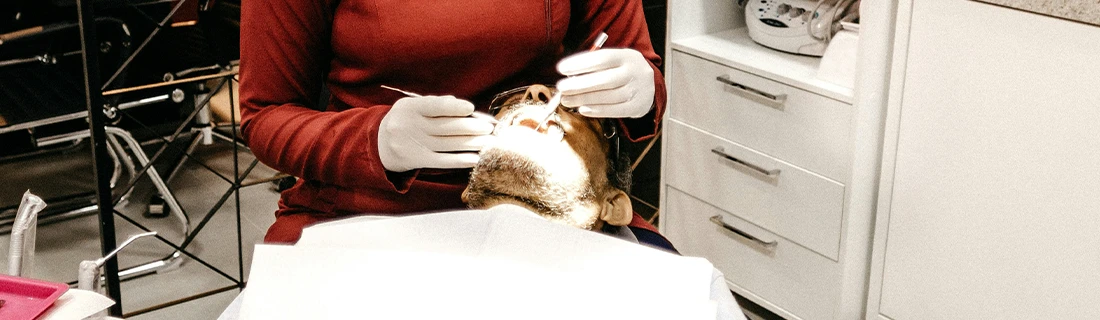 FC – Trustworthy Restorations: Dental Crowns by Thomas McKenny, DDS & Associates FC – Trustworthy Restorations: Dental Crowns by Thomas McKenny, DDS & Associates